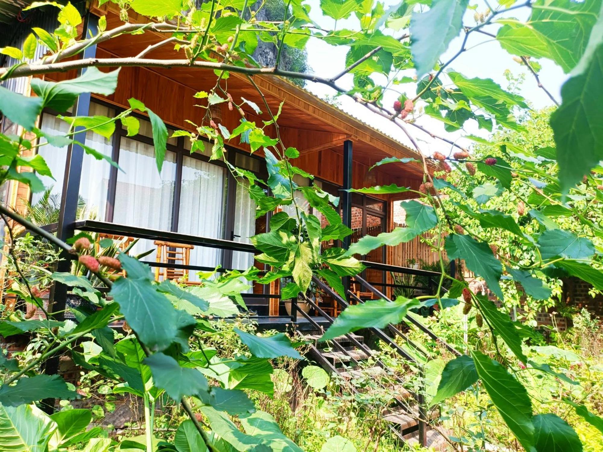 Tam Coc Sunshine Homestay นิญบิ่ญ ภายนอก รูปภาพ
