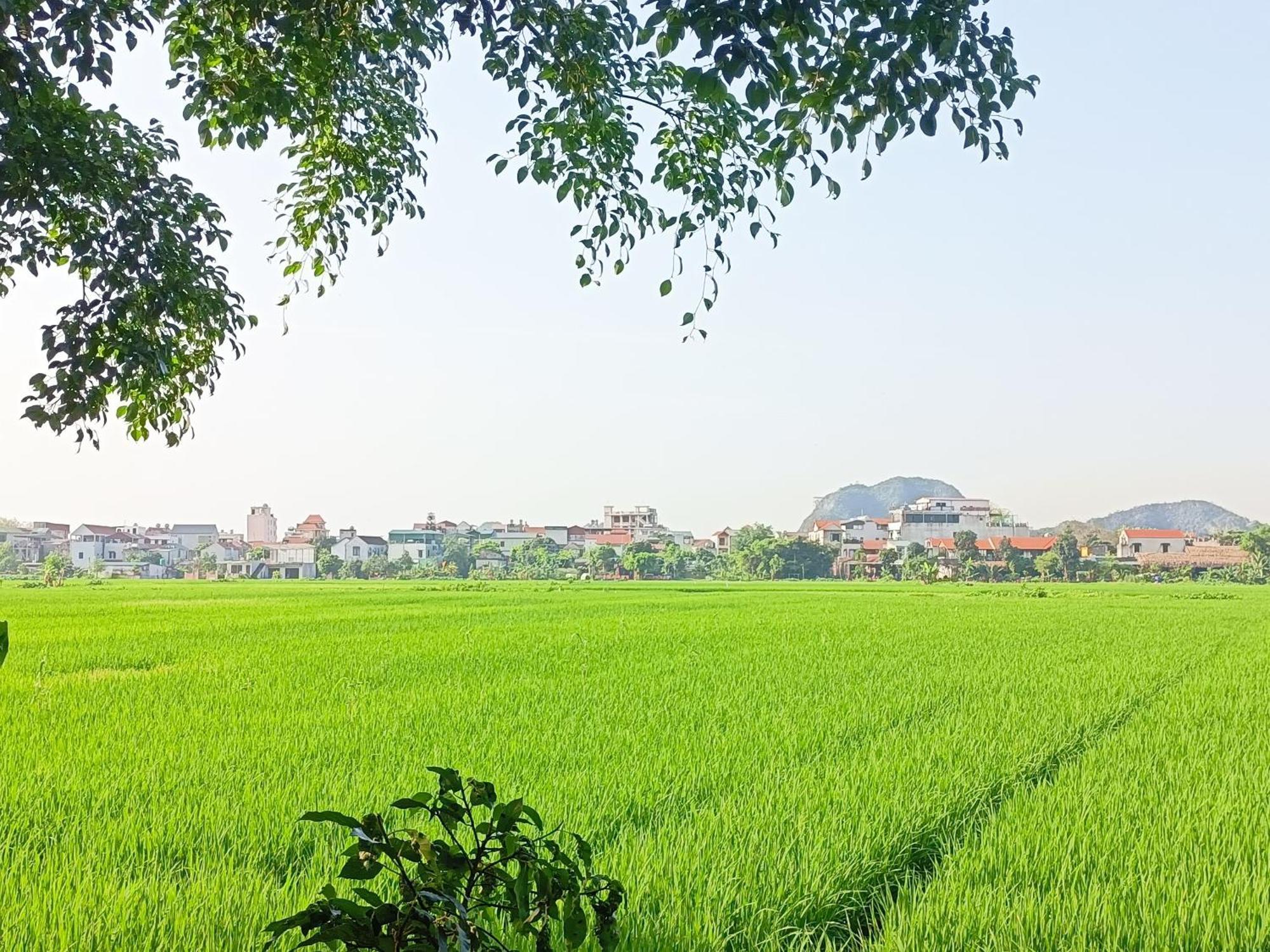 Tam Coc Sunshine Homestay นิญบิ่ญ ภายนอก รูปภาพ