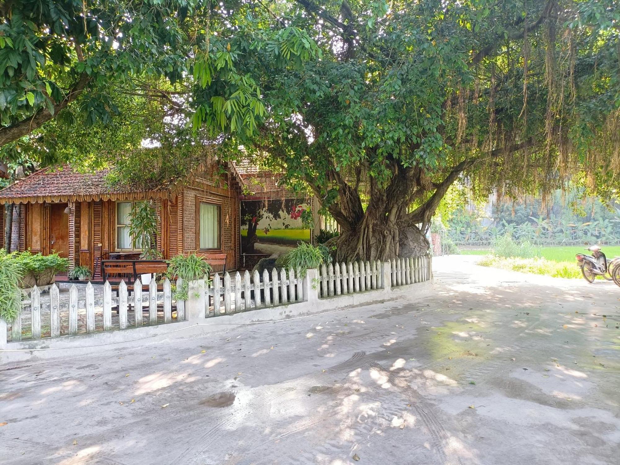 Tam Coc Sunshine Homestay นิญบิ่ญ ภายนอก รูปภาพ