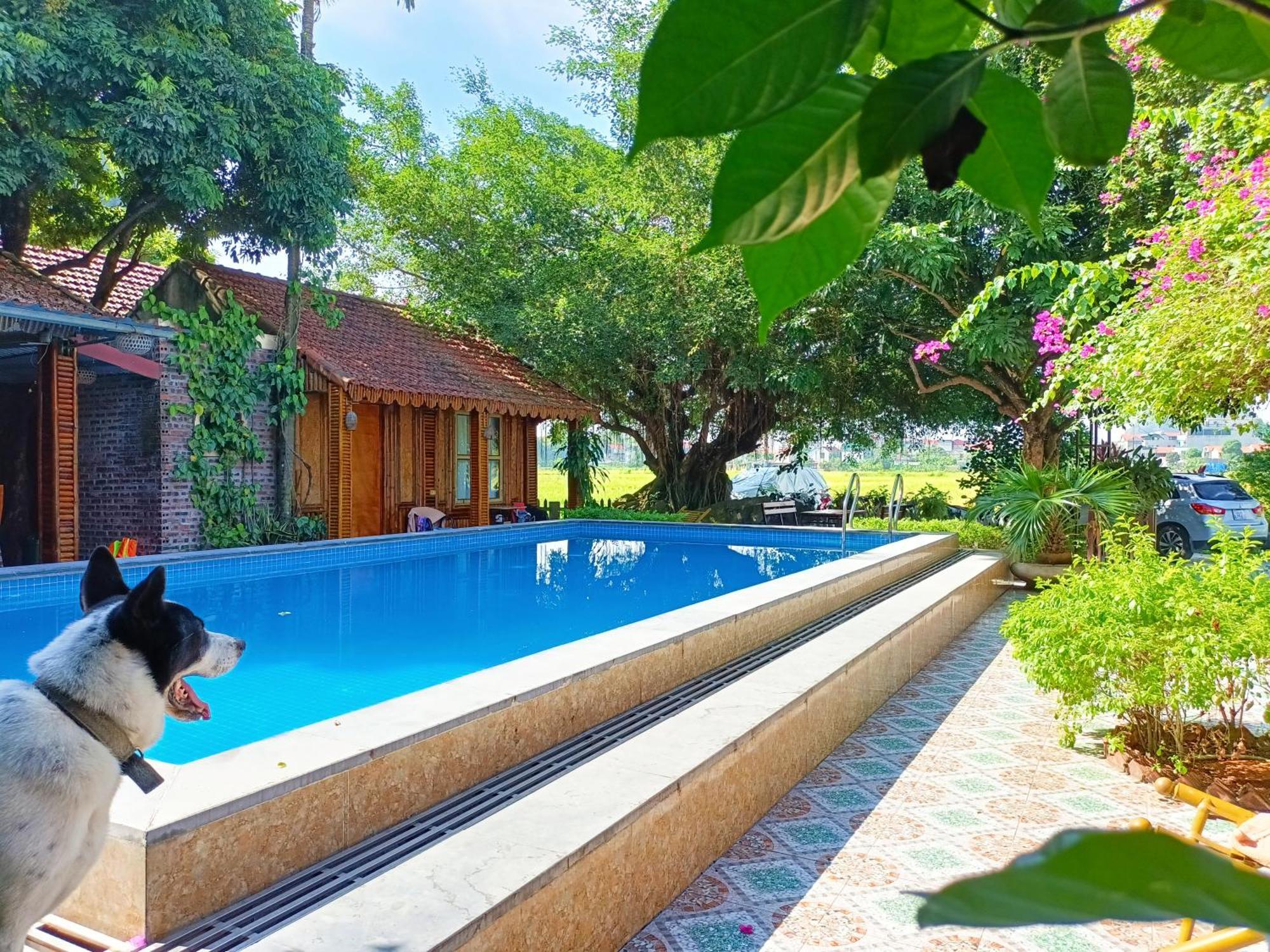 Tam Coc Sunshine Homestay นิญบิ่ญ ภายนอก รูปภาพ