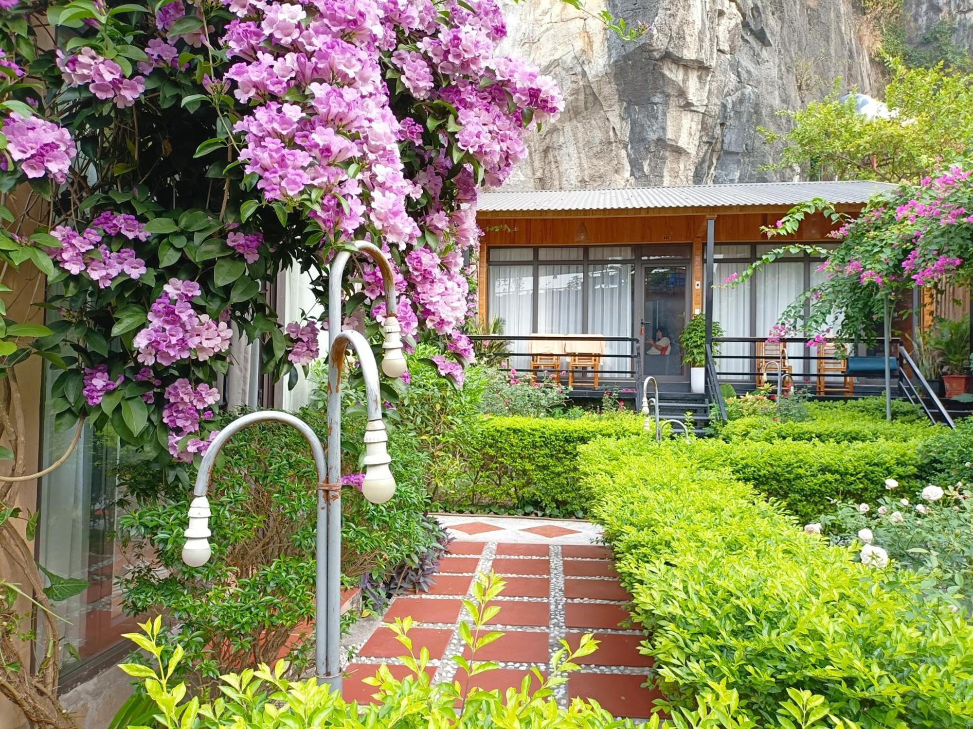 Tam Coc Sunshine Homestay นิญบิ่ญ ภายนอก รูปภาพ
