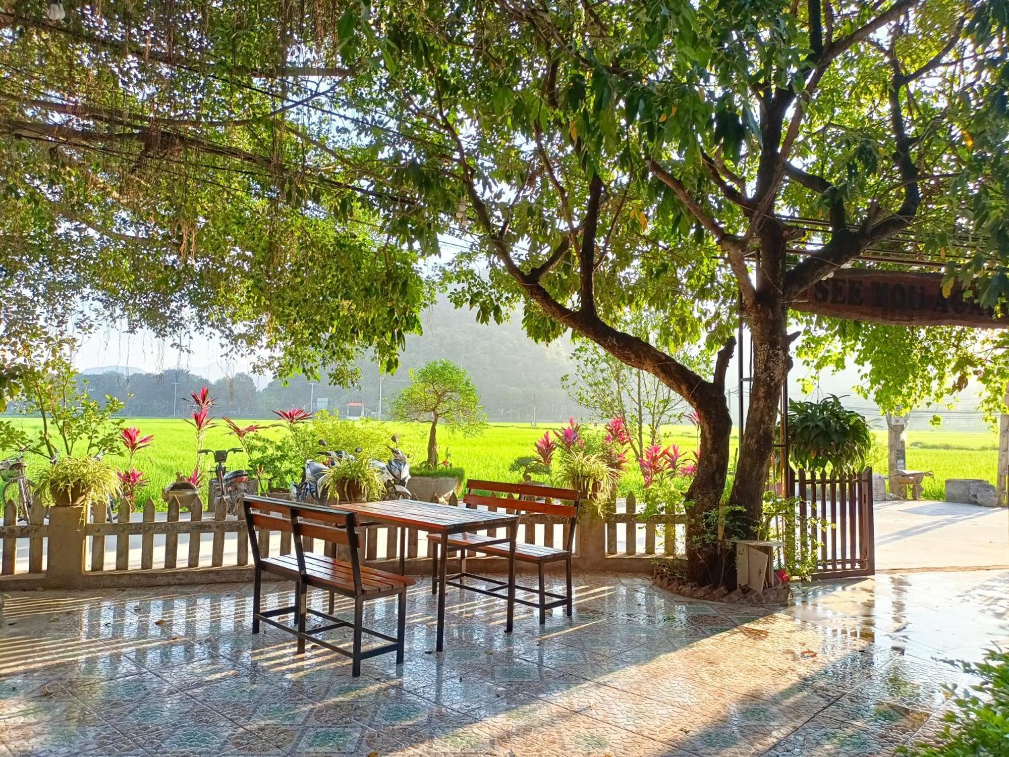 Tam Coc Sunshine Homestay นิญบิ่ญ ภายนอก รูปภาพ