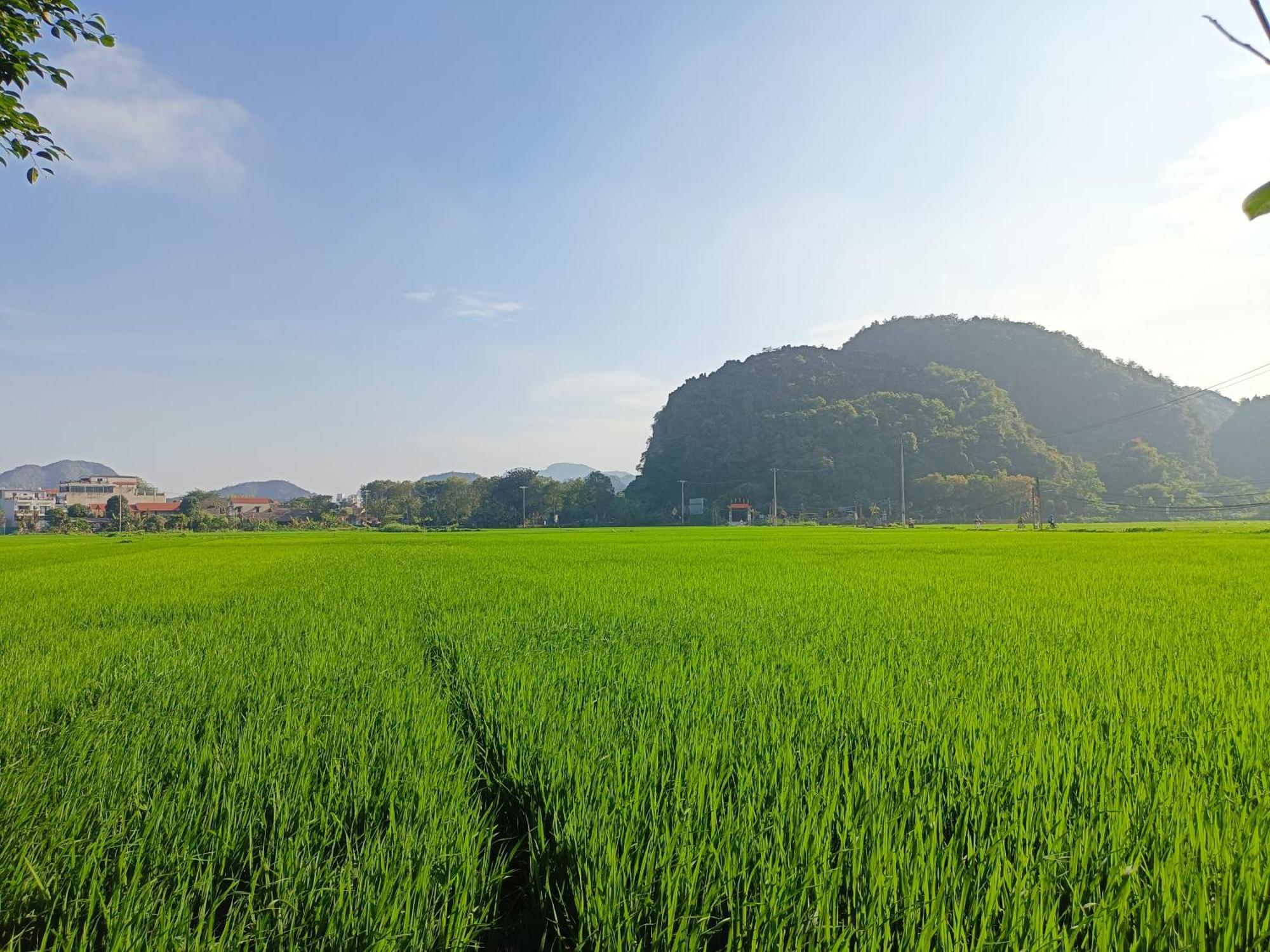Tam Coc Sunshine Homestay นิญบิ่ญ ภายนอก รูปภาพ