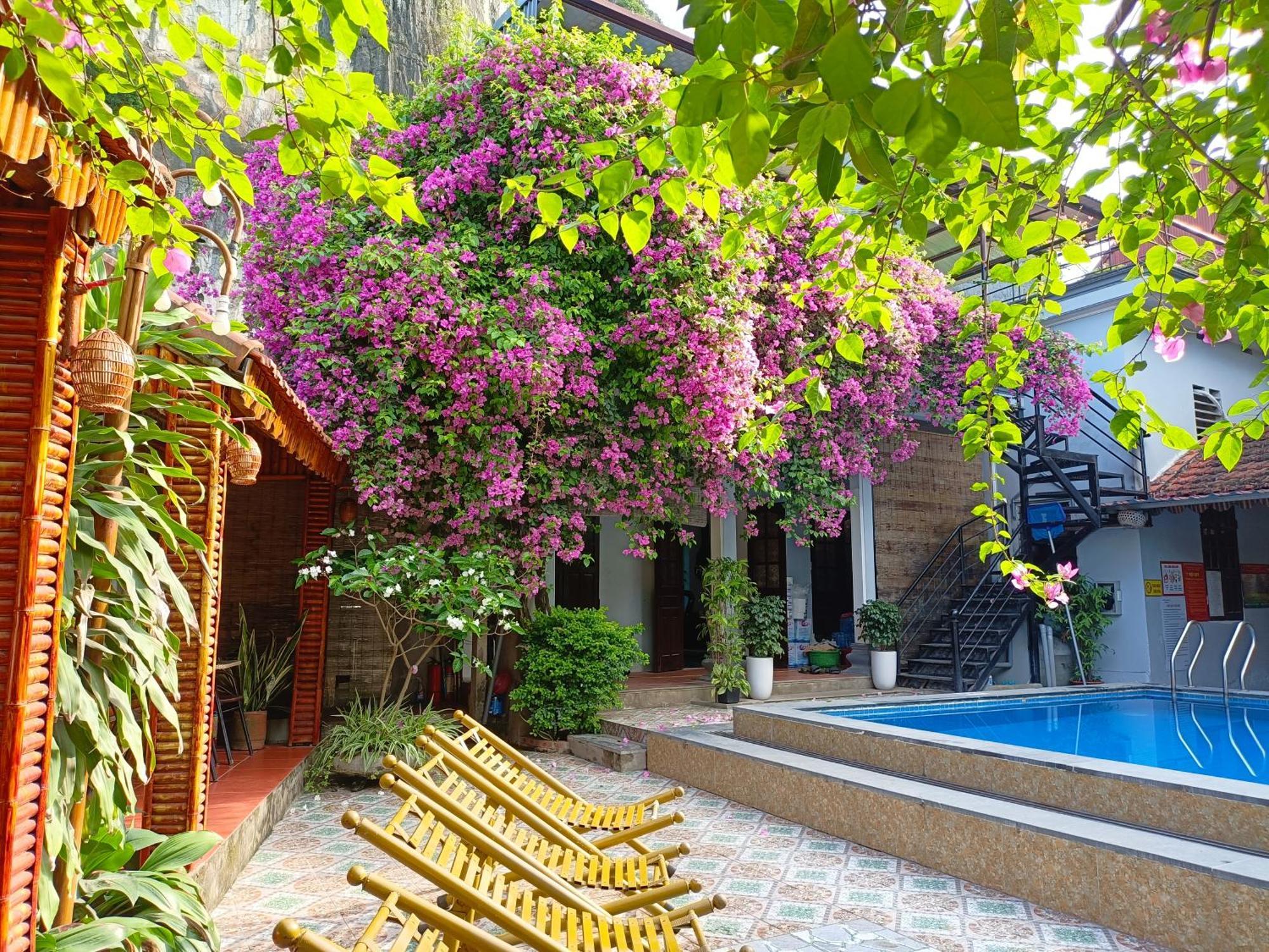Tam Coc Sunshine Homestay นิญบิ่ญ ภายนอก รูปภาพ